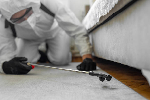 Professional Termite Control technician working in New Fairview, TX
